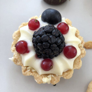 MİNİ MEYVELİ TART